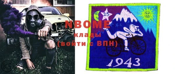 ПСИЛОЦИБИНОВЫЕ ГРИБЫ Баксан