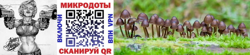 Галлюциногенные грибы Psilocybe  omg ссылки  Кохма 